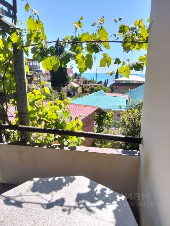 Комната Краснодарский край, Сочи пос. Лоо, ул. Весенняя, 25 (14.0 м) - Фото 0