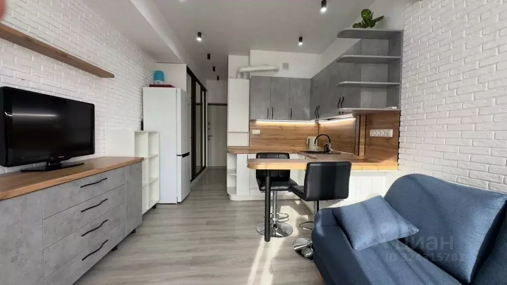 Студия Краснодарский край, Сочи городской округ, Дагомыс пгт ш. ... - Фото 1