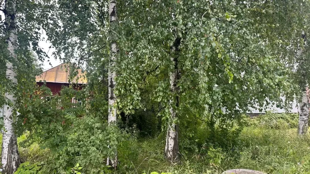Участок в Тамбовская область, Тамбов Ново-ленинградская ул., 10 (7.0 ... - Фото 0