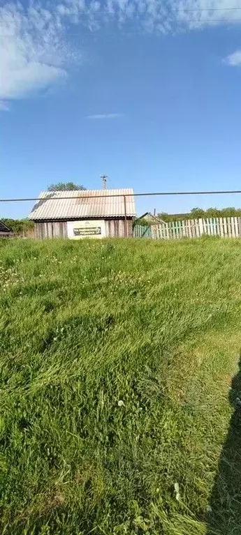 Участок в Пензенская область, Бессоновский район, с. Трофимовка ... - Фото 2