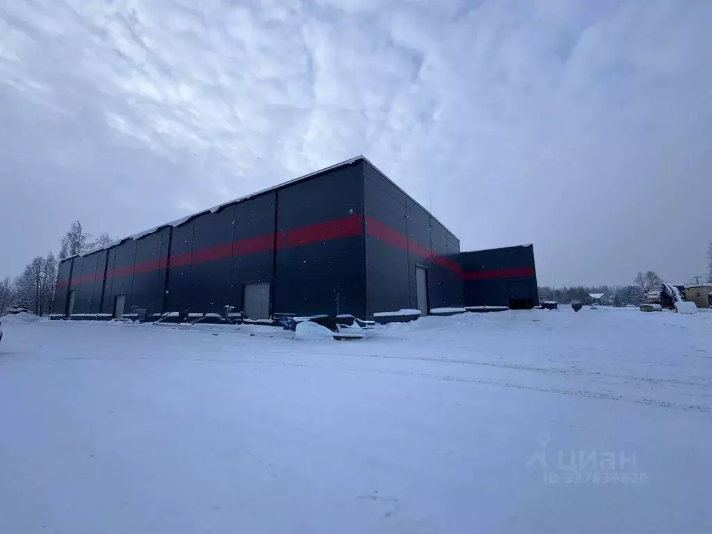 Помещение свободного назначения в Ленинградская область, Всеволожский ... - Фото 1