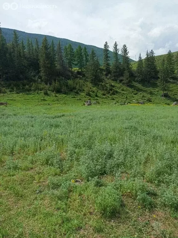 Участок в Чибит, Садовая улица (8 м) - Фото 1