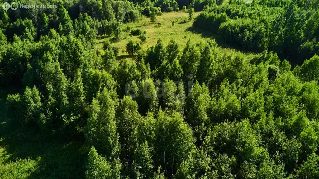 Участок в Томский район, деревня Коломино, Зелёная улица (6 м) - Фото 1