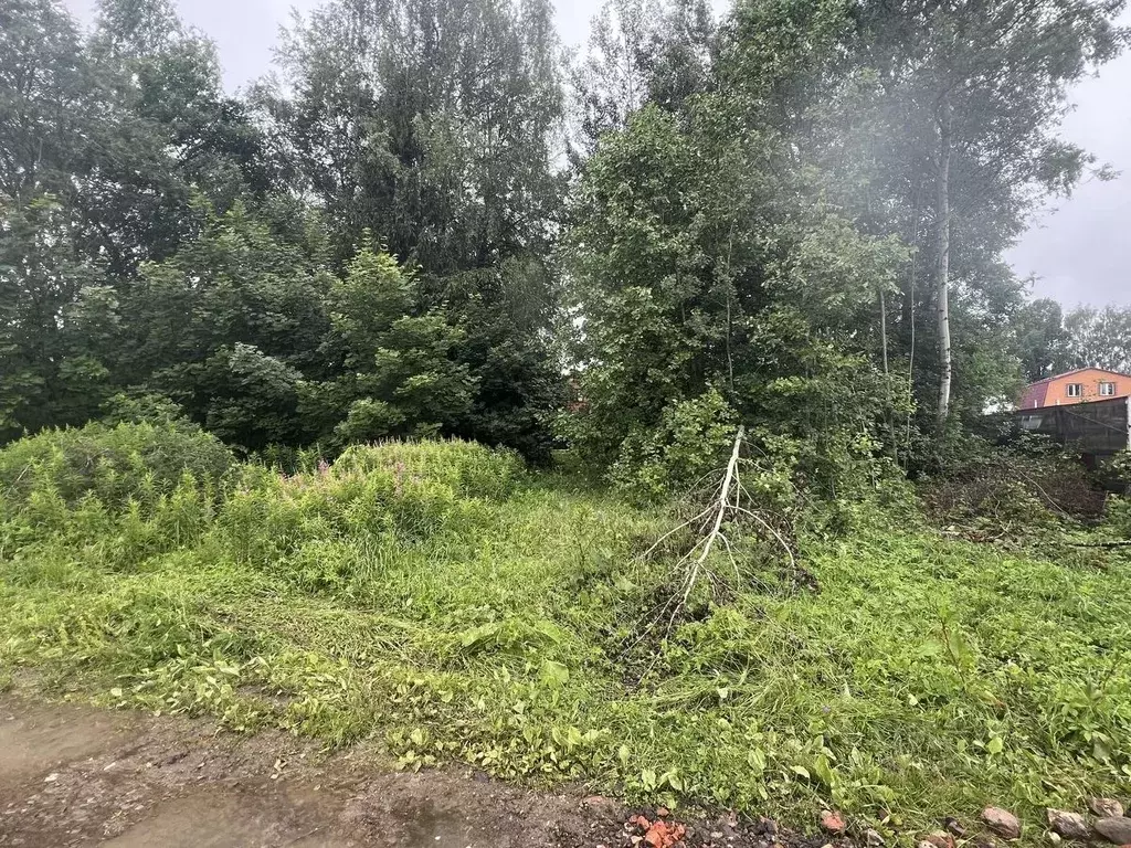 Участок в Московская область, Высоковск Клин городской округ, д. ... - Фото 0