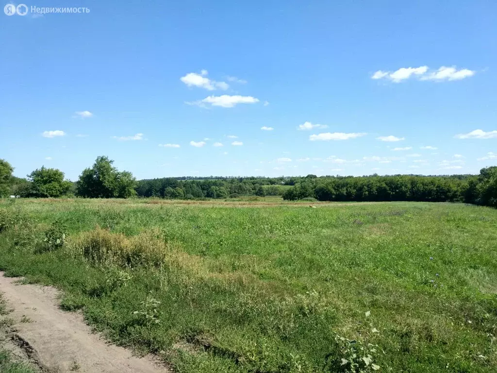 Участок в Комсомолец, Новая Садовая улица (7.2 м) - Фото 0