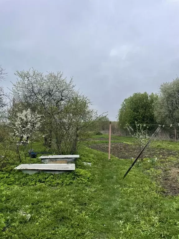 Дом в Нижегородская область, Богородский муниципальный округ, д. ... - Фото 1