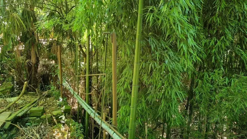 Дом в Краснодарский край, Туапсинский муниципальный округ, с. Вольное ... - Фото 1