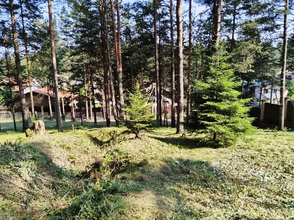 Участок в Ленинградская область, Всеволожский район, Токсовское ... - Фото 1