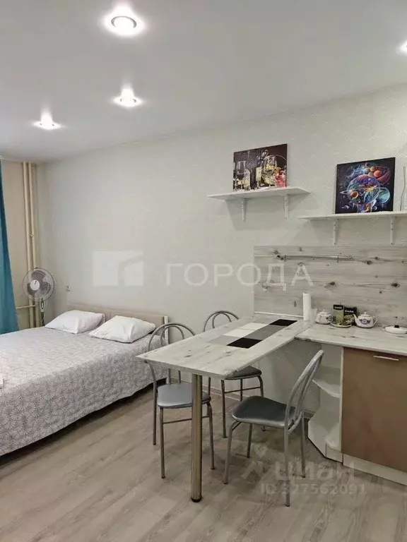 Студия Новосибирская область, Новосибирск ул. Дмитрия Шмонина, 1 (32.5 ... - Фото 2