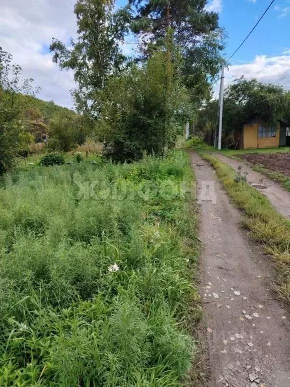 Участок в Амурская область, Благовещенск Игнатьевское ш. (6.0 сот.) - Фото 1