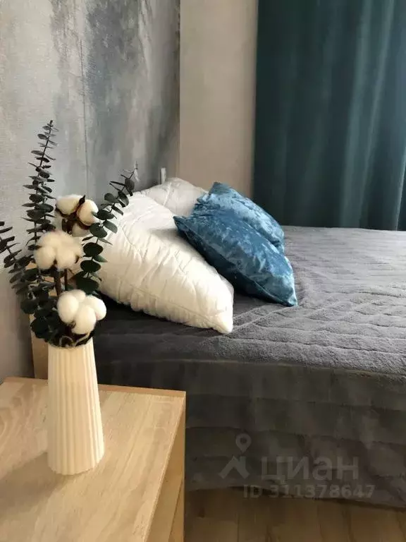 Студия Рязанская область, Рязанский район, Дядьковское с/пос, с. ... - Фото 2