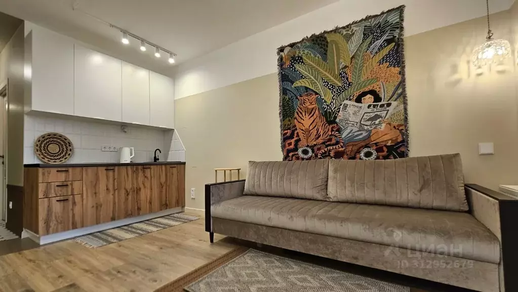 Студия Санкт-Петербург пос. Шушары, просп. Новгородский, 2к3 (28.0 м) - Фото 1