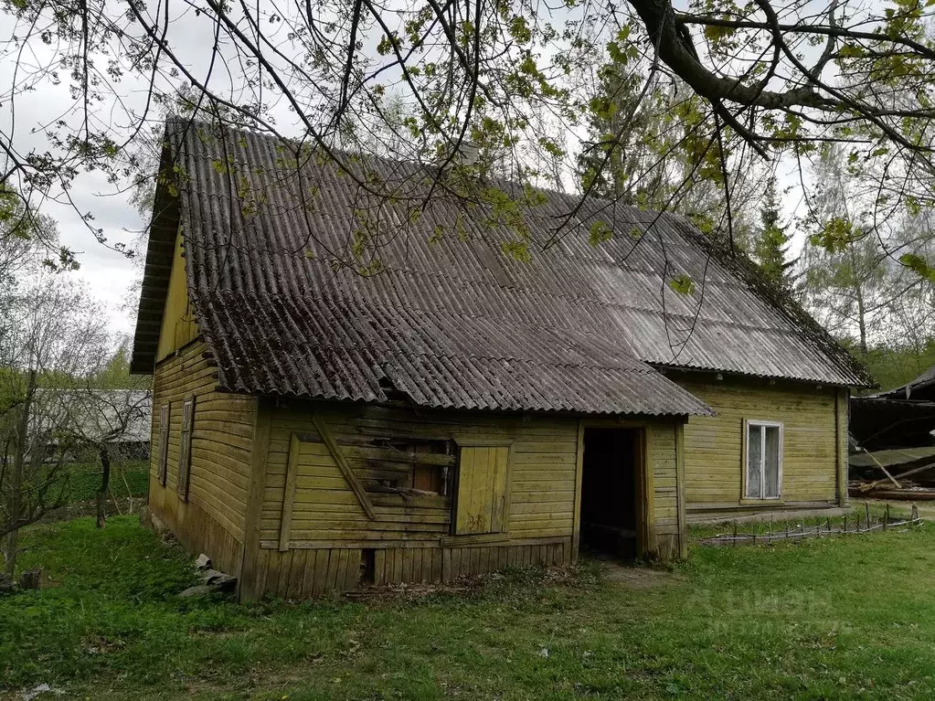 Офис в Псковская область, Печорский муниципальный округ, д. Паниковичи ... - Фото 2