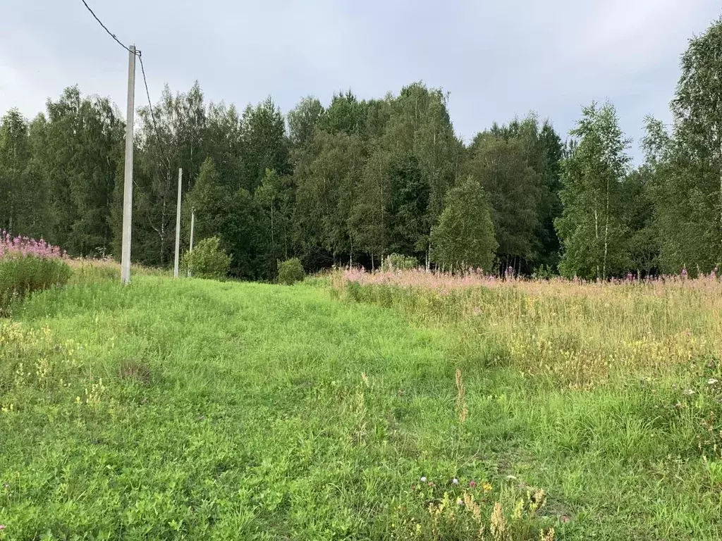 Участок в Новгородская область, Валдайский муниципальный округ, ... - Фото 2