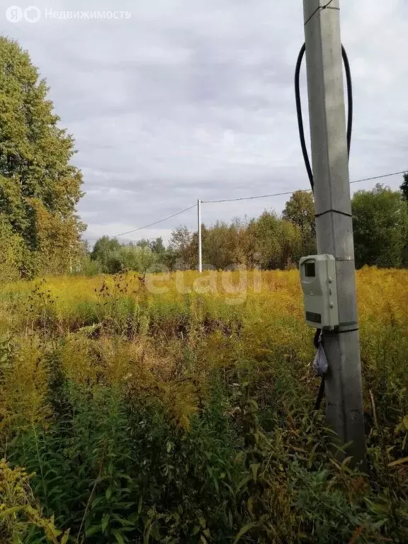 Участок в муниципальное образование Красноярское, село Грецово (14.6 ... - Фото 0