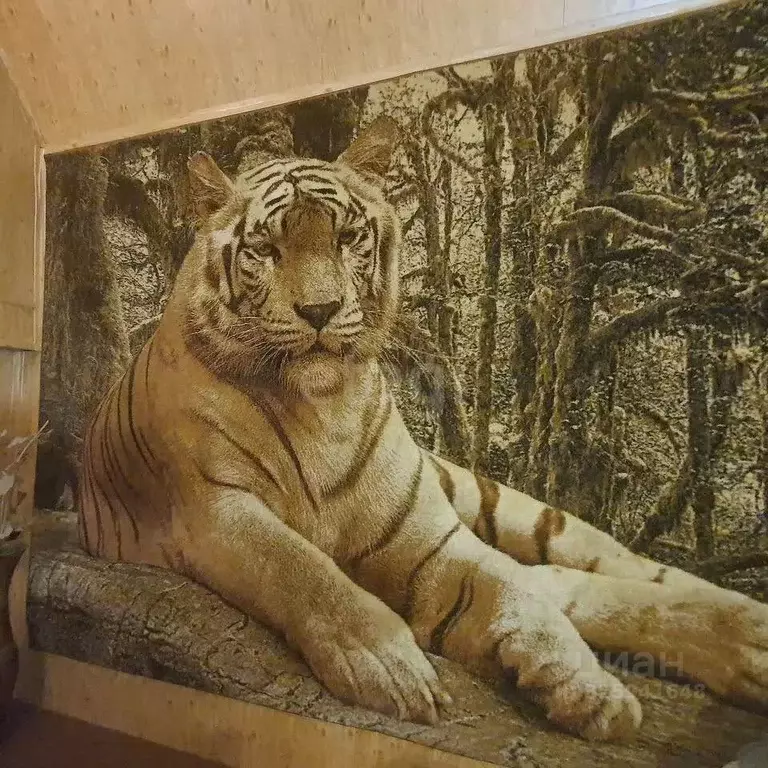 Дом в Ростовская область, Таганрог Омега садовое товарищество,  (266 ... - Фото 2