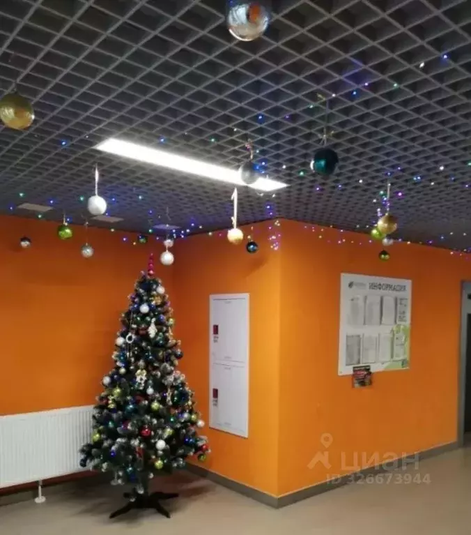 Студия Волгоградская область, Волгоград ул. Степанищева, 2А (25.0 м) - Фото 2