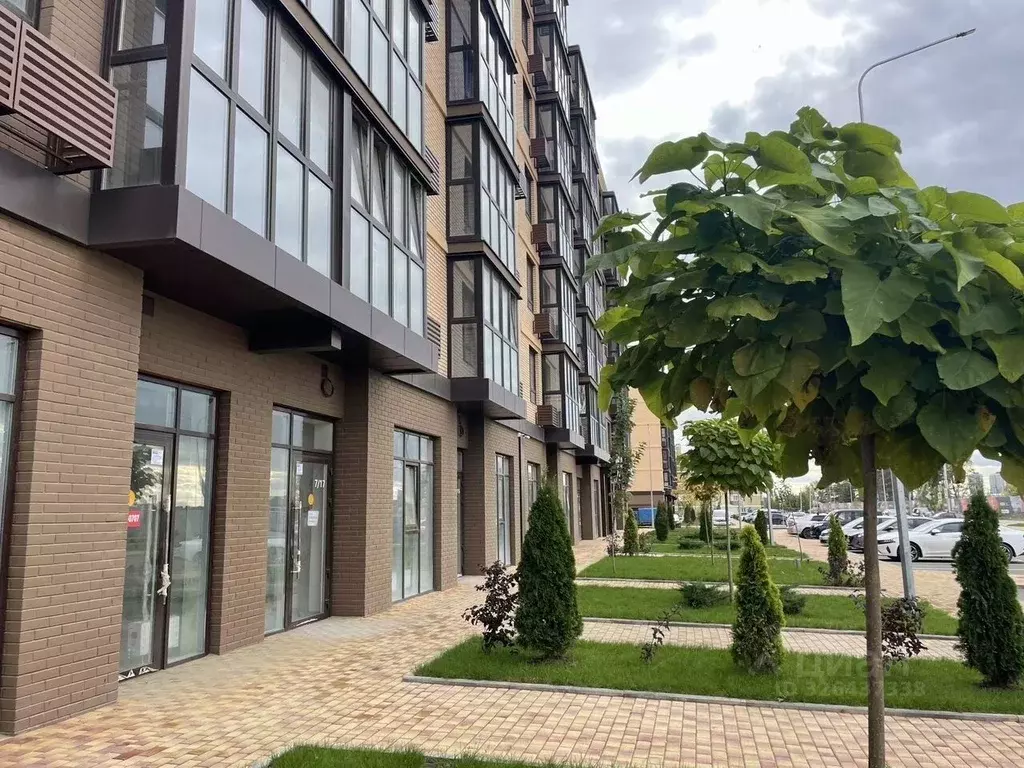 Помещение свободного назначения в Краснодарский край, Динской район, ... - Фото 2