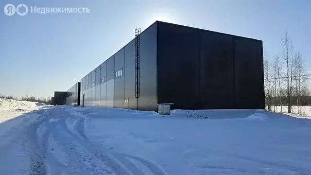 Производственное помещение (2376 м) - Фото 2