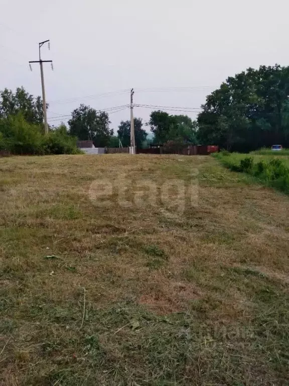 Участок в Амурская область, Благовещенский район, Луч СТ  (6.6 сот.) - Фото 1