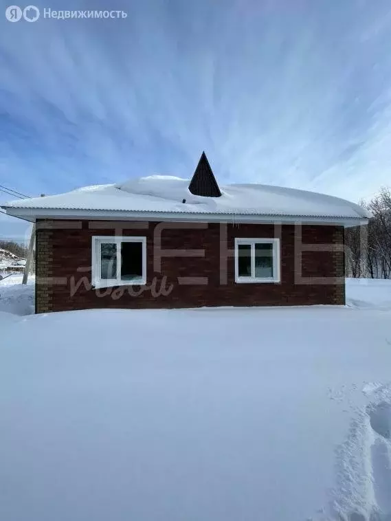 Дом в Амурская область, Благовещенский муниципальный округ, село ... - Фото 0