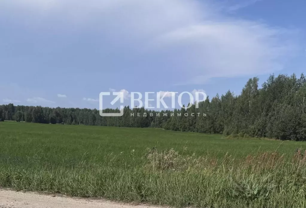 Участок в Ярославская область, Некрасовский муниципальный округ, д. ... - Фото 1