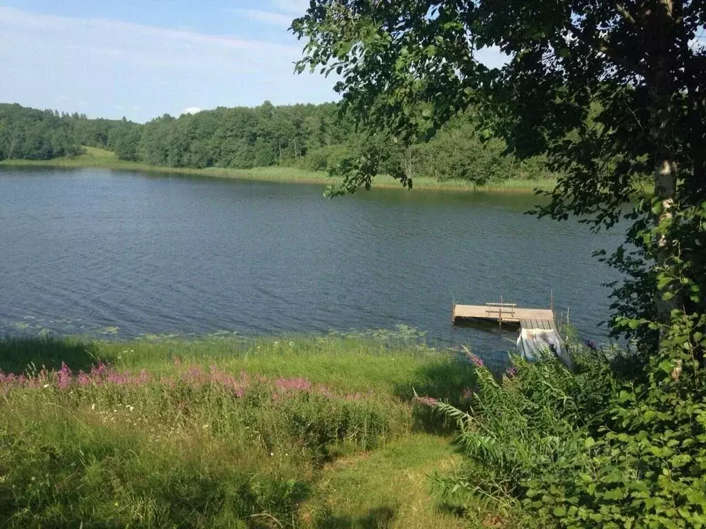Участок в Тверская область, Осташковский муниципальный округ, д. ... - Фото 1