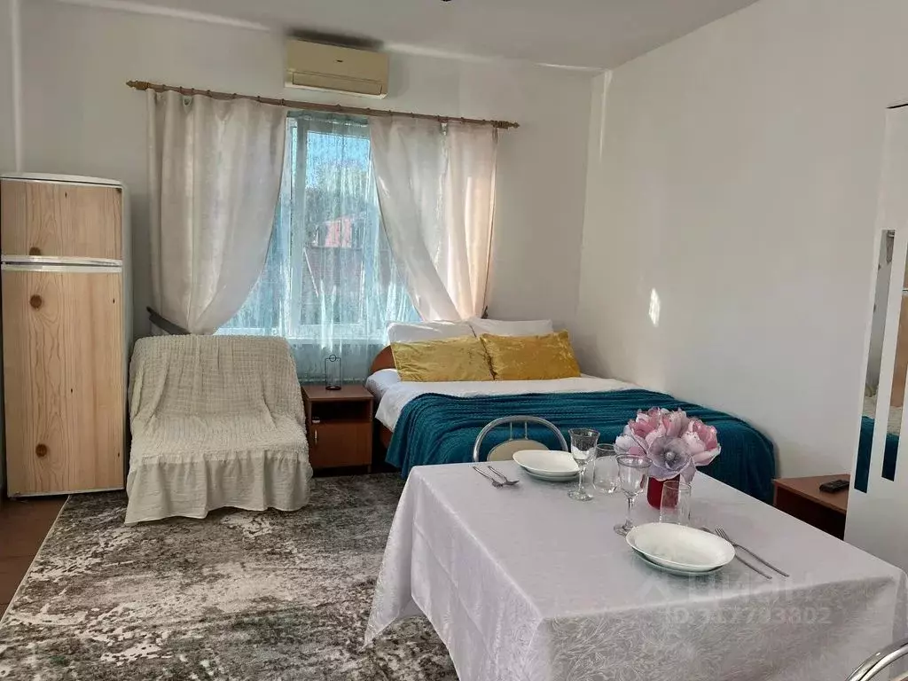 Студия Краснодарский край, Сочи ул. Просвещения, 170/6 (25.0 м) - Фото 1