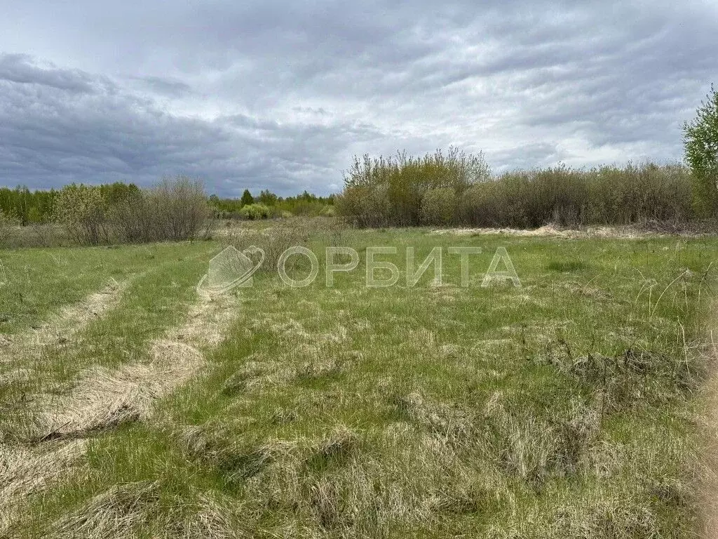 Участок в Тюменская область, Тюменский район, Горошинка СНТ  (9.0 ... - Фото 1