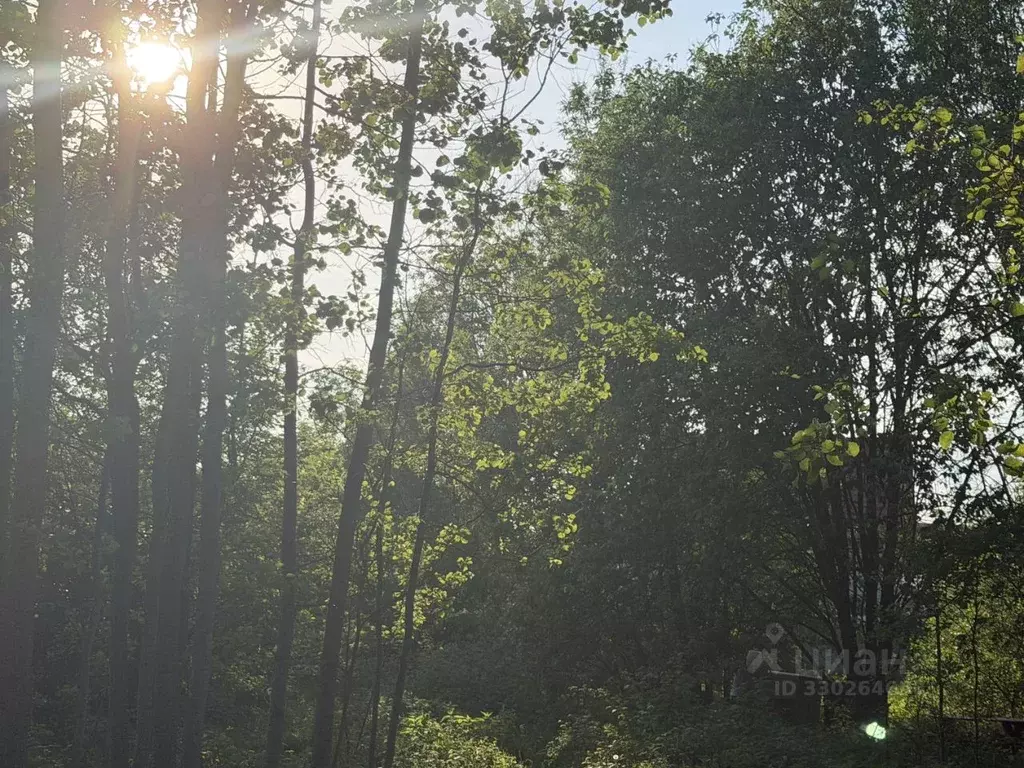 Участок в Московская область, Одинцовский городской округ, с. ... - Фото 1