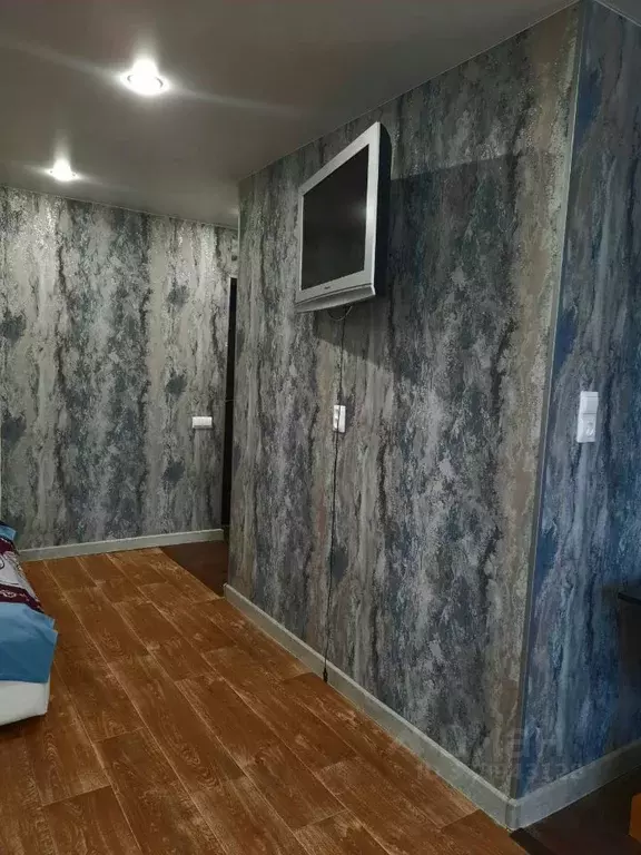 Студия Нижегородская область, Дзержинск Пушкинская ул., 18 (33.0 м) - Фото 2