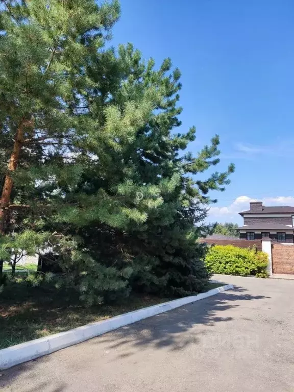 Участок в Саратовская область, с. Усть-Курдюм ул. Октябрьская, 24 ... - Фото 2