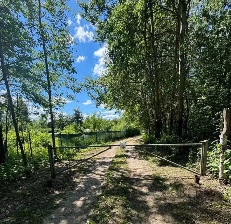 Участок в Нижегородская область, Кстово Лесное СНТ, 12 (8.0 сот.) - Фото 0