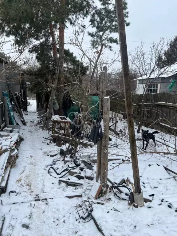 Дом в Волгоградская область, Волгоград Ейская ул. (37 м) - Фото 1