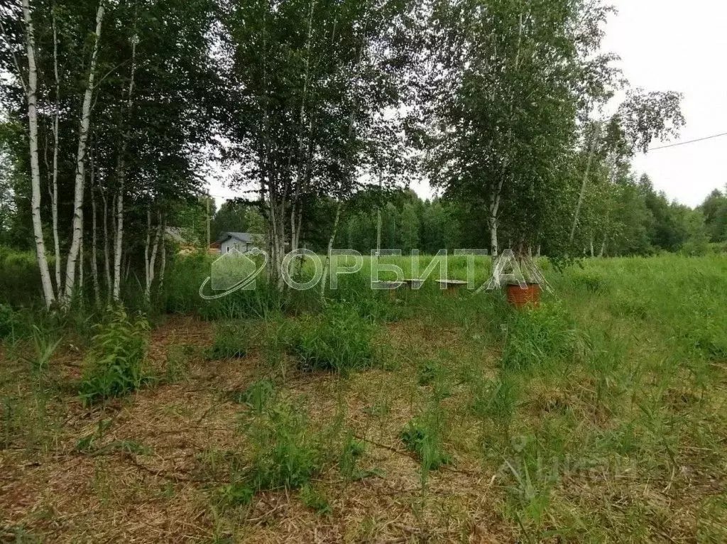 Участок в Тюменская область, Тюменский район, Нива СНТ ул. Городская, ... - Фото 1