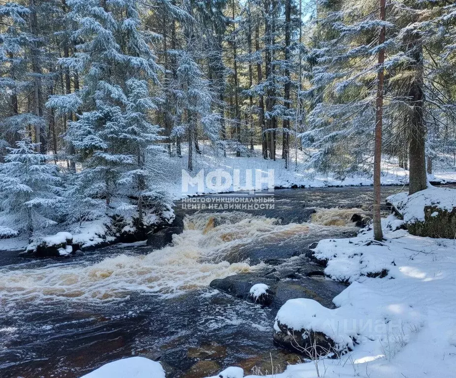 Участок в Карелия, Лахденпохский муниципальный округ, пос. Ихала ул. ... - Фото 1