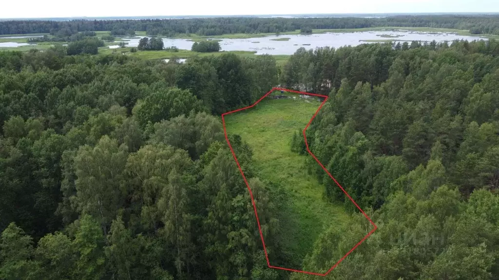 Участок в Ленинградская область, Выборгский район, Советское городское ... - Фото 2