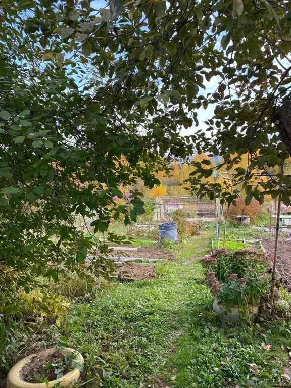 Участок в Нижегородская область, Кстово Волга СНТ,  (6.0 сот.) - Фото 1