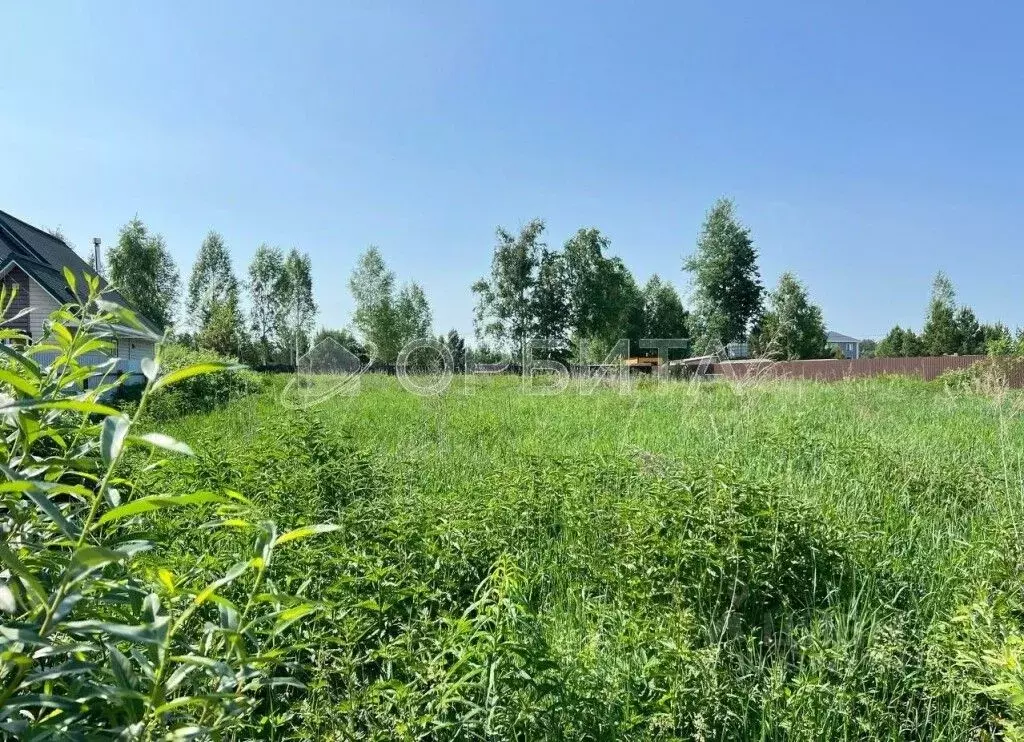 Участок в Тюменская область, Тюмень СОСН Березка-3 тер., ул. 15-я ... - Фото 1