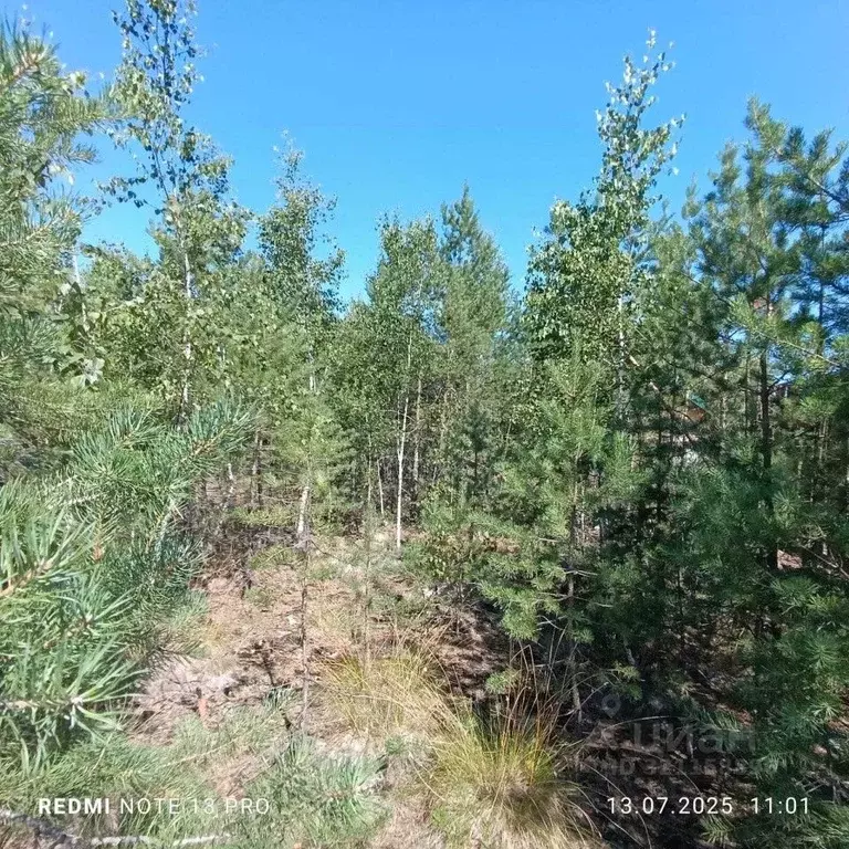 Участок в Свердловская область, Екатеринбург Новый Свет СНТ,  (10.0 ... - Фото 2