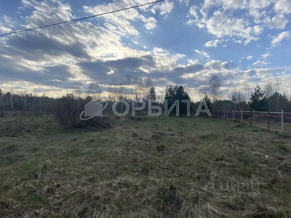 Участок в Свердловская область, Тугулымский муниципальный округ, с. ... - Фото 2