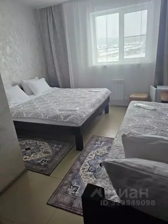 Комната Алтай, Шебалинский район, с. Шебалино Трактовая ул., 4/2 - Фото 2