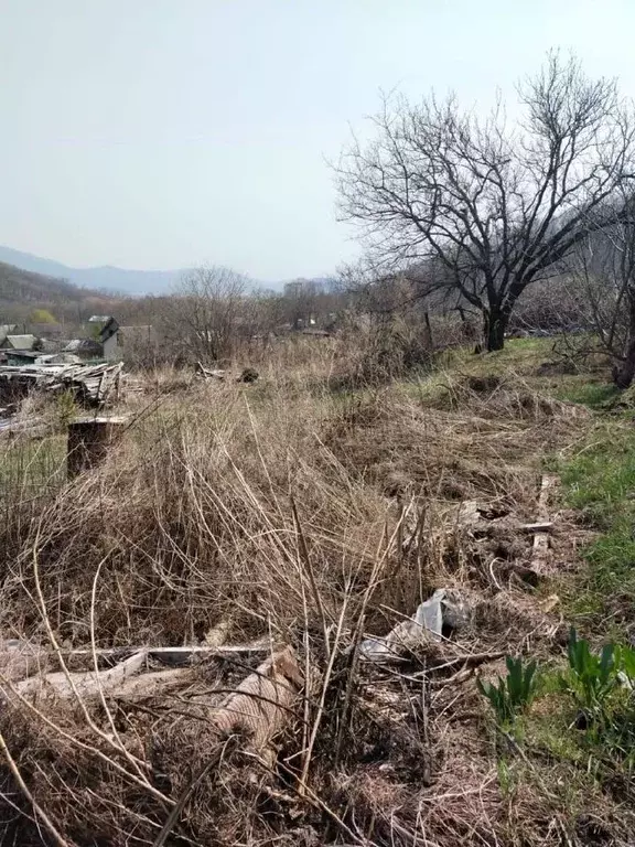 Участок в Приморский край, Партизанский муниципальный округ, с. ... - Фото 1