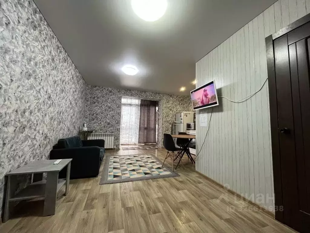 Студия Челябинская область, Чебаркуль 9 Мая ул., 29 (28.0 м) - Фото 1