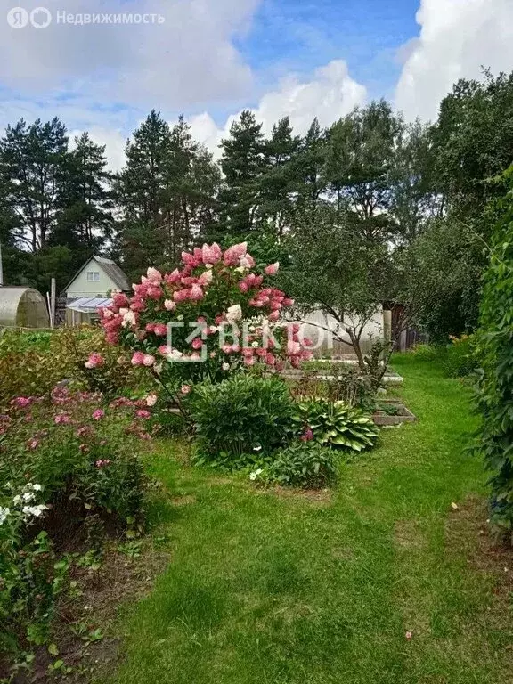 Дом в Костромской район, Караваевское сельское поселение, СНТ Сосновый ... - Фото 2