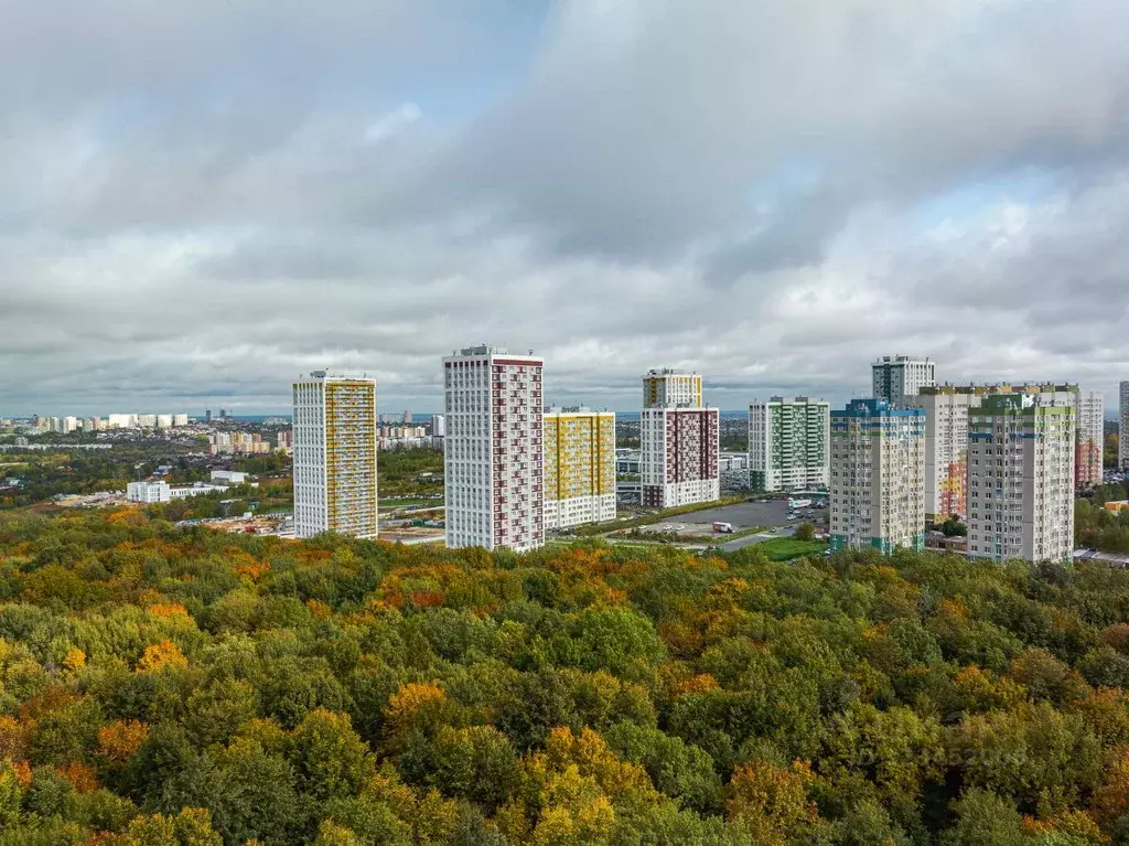 3-к кв. Нижегородская область, Нижний Новгород Мои Цветы жилой ... - Фото 1