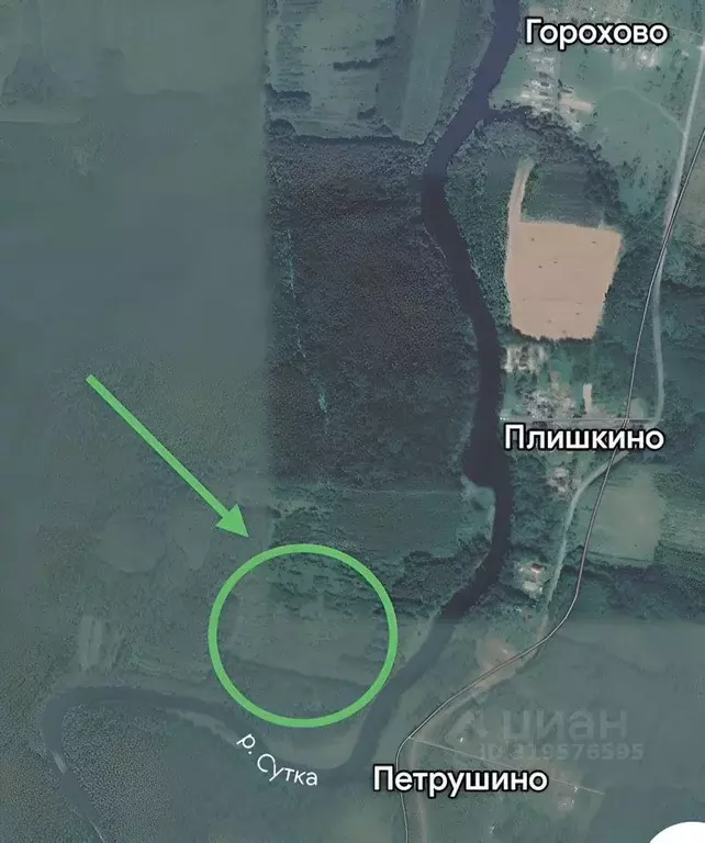 Участок в Ярославская область, Некоузский муниципальный округ, д. ... - Фото 1