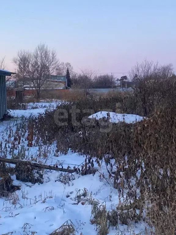 2-к кв. Амурская область, Тамбовский муниципальный округ, с. Лозовое ... - Фото 2