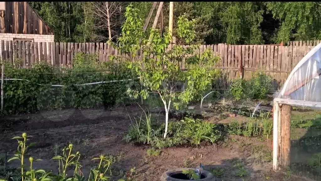 Дом в Курганская область, Курган Наука СНТ, ул. 2-я, 50 (10 м) - Фото 1