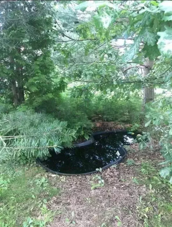 Участок в Московская область, Раменский муниципальный округ, Синица ... - Фото 2